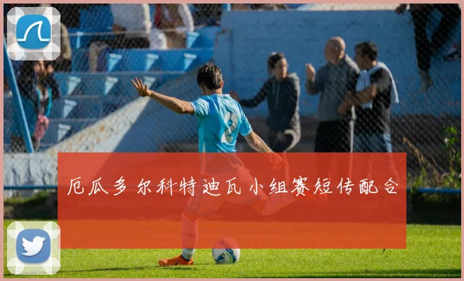 厄瓜多尔科特迪瓦小组赛短传配合